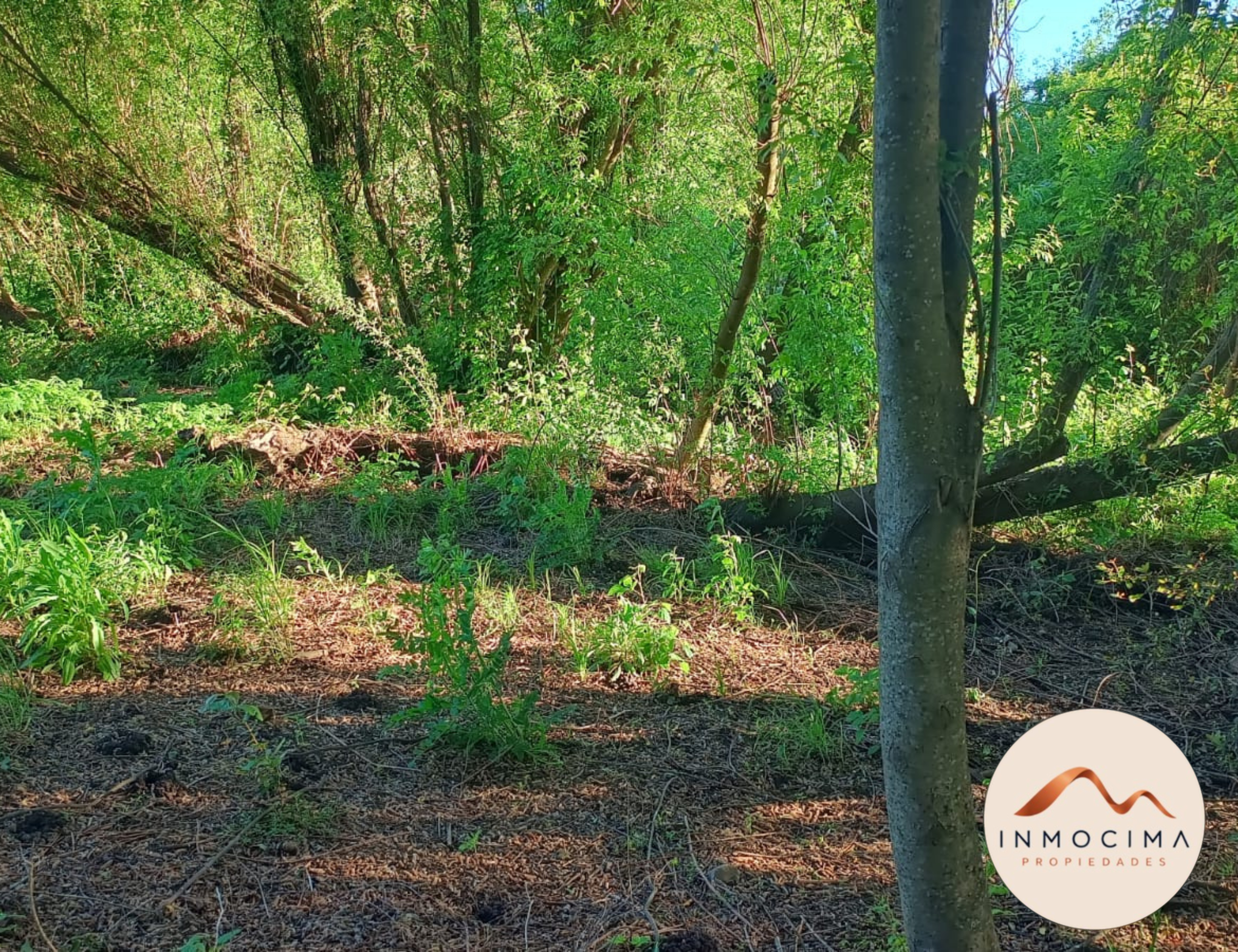 Venta Parcela Longaví con Casa y Campamento Agrícola